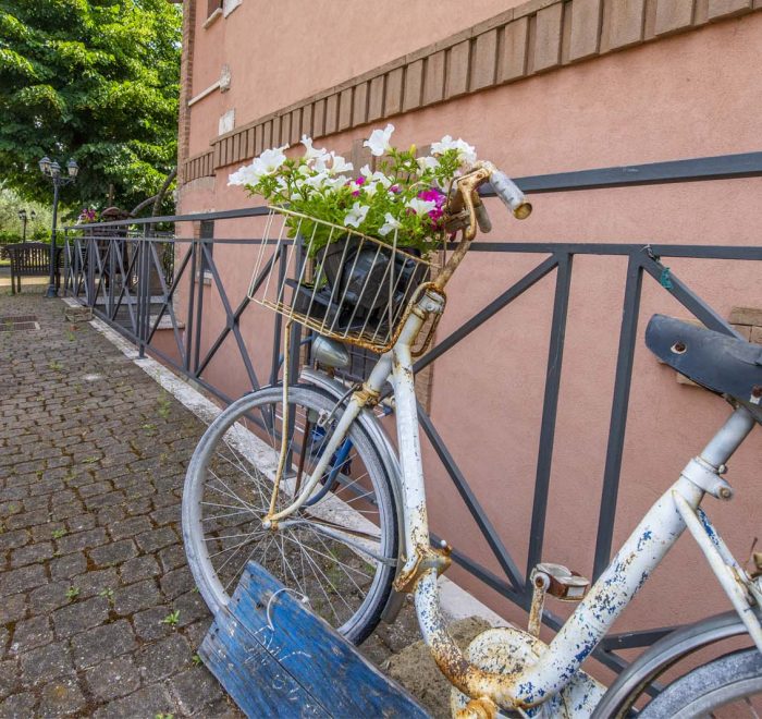 bicicletta con fiori nel cestino