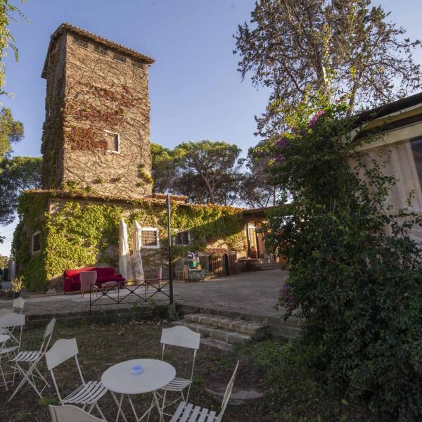 la torre di giorno