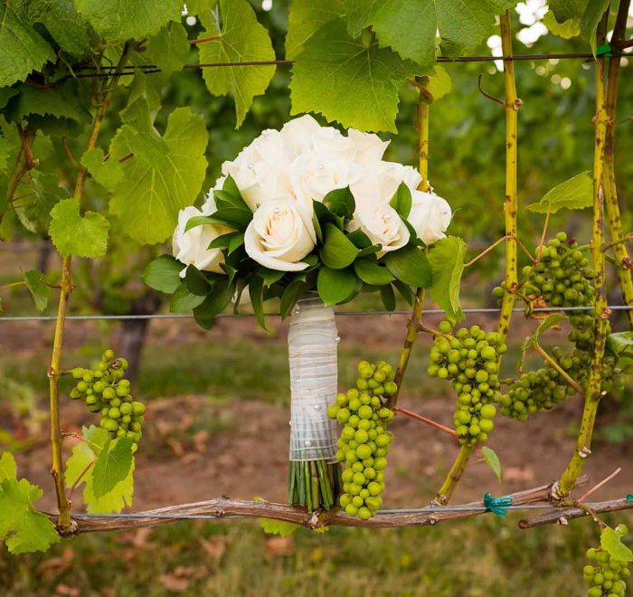 bouquet di rose bianche nel vigneto